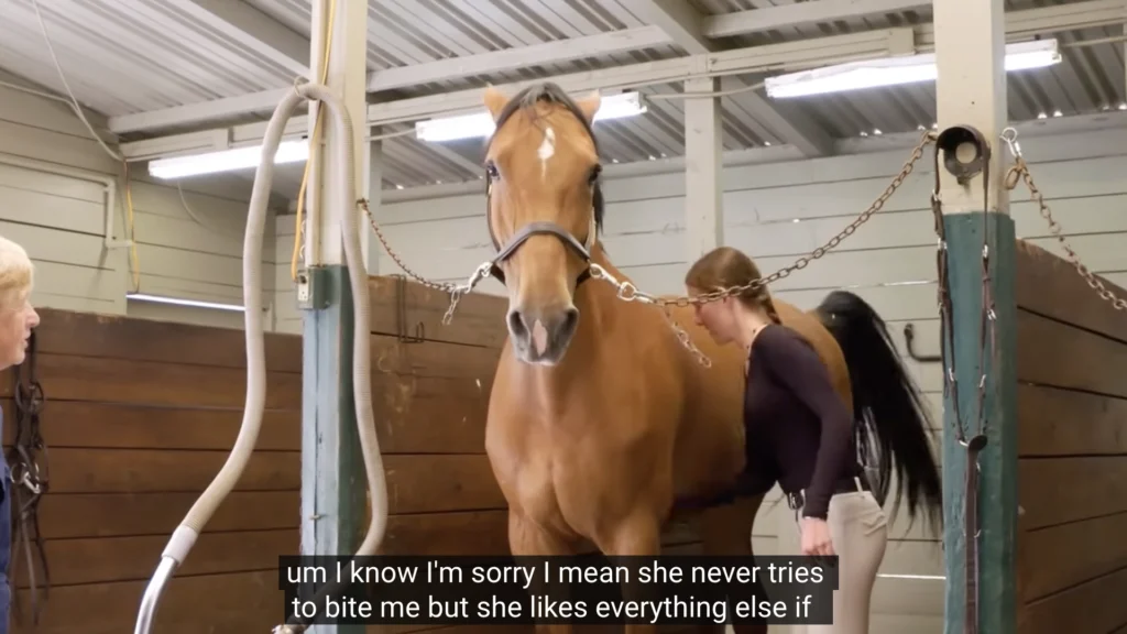 The 24 Behaviors of the Ridden Horse in Pain